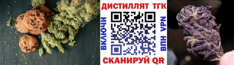 наркотики  Гвардейск  Cannafood конопля 