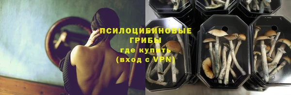 крисы Абинск