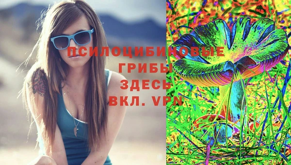 кокс Алексеевка