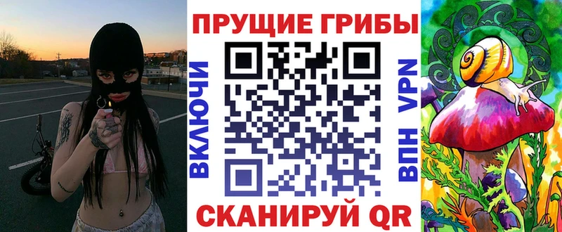Псилоцибиновые грибы ЛСД  наркота  Гвардейск 